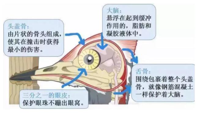 昆明安全帽，安全買冷知識你知道嗎？
